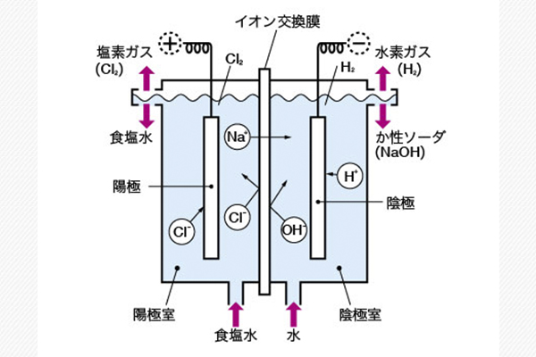 Ion-Exchange Membrane Sodium Chloride Electrolytic Cell